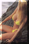 babe11.gif (317070 bytes)